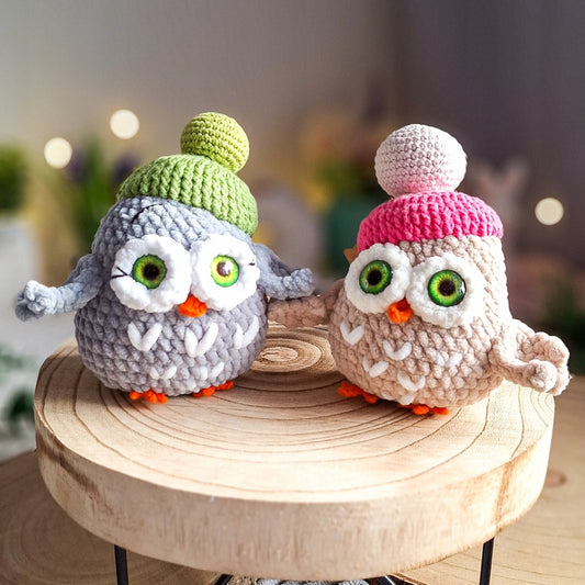 Set of 2 Handmade Crochet Owls in Hats, Plush Toys